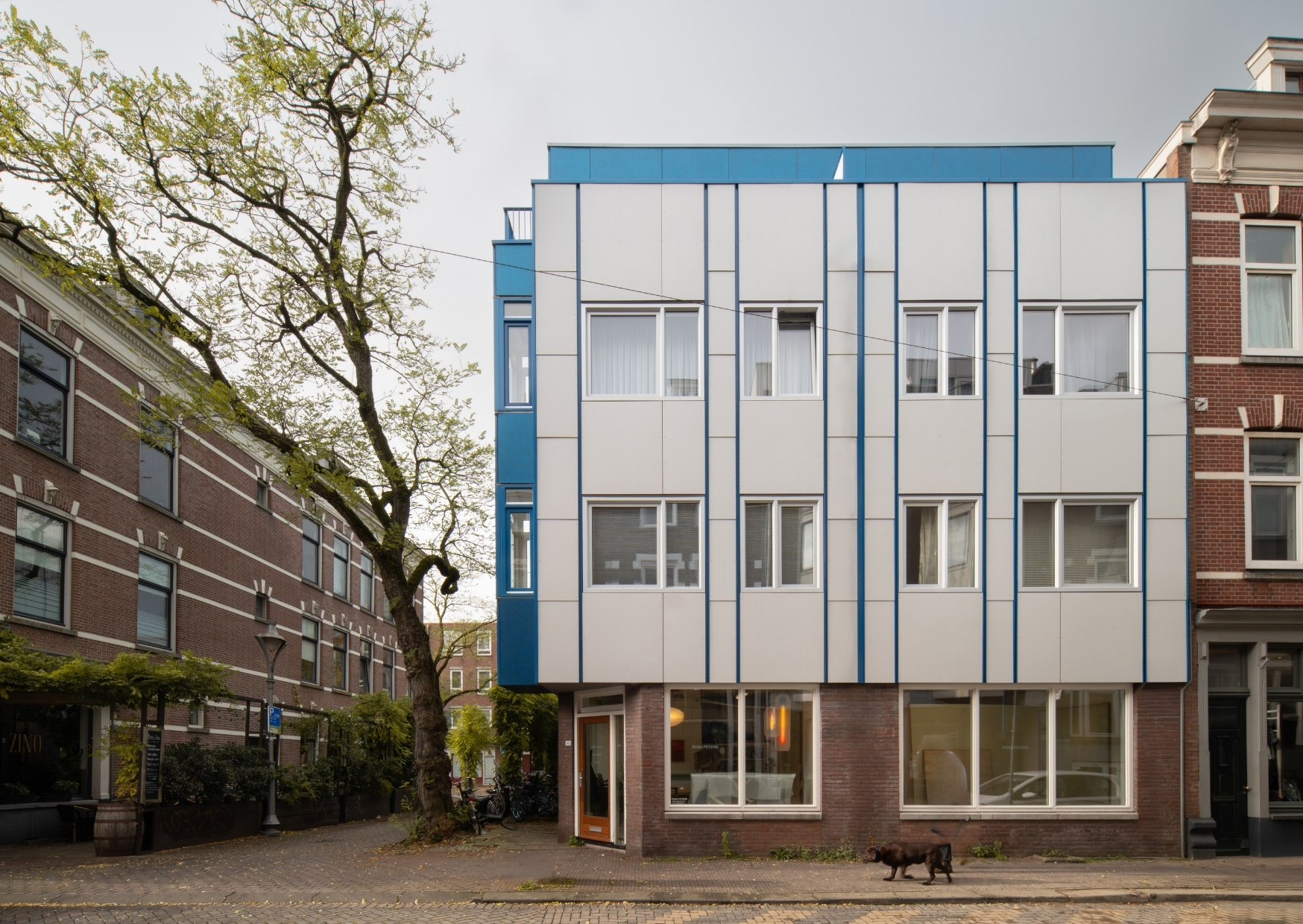 Rotterdam WP 13.jpg