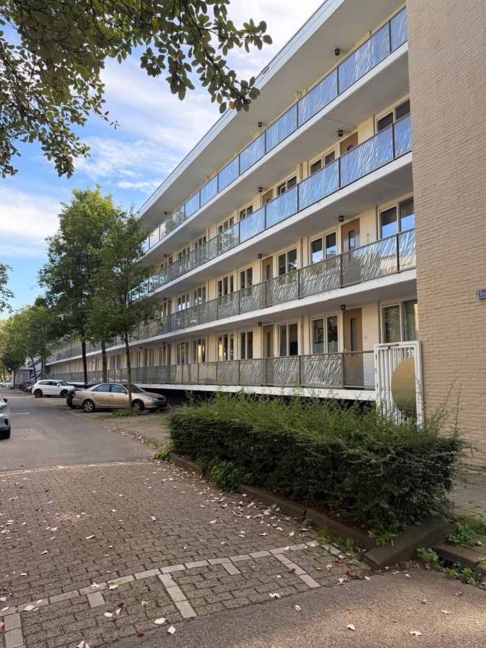 renovatie_de_nude_wageningen_2.jpg